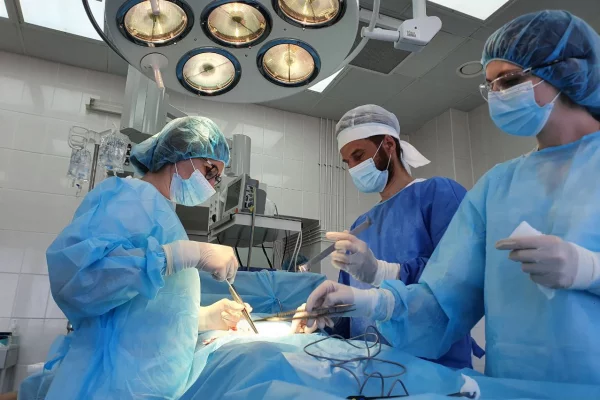 В Кемерове врачи пересадили почку пациентке с больным сердцем