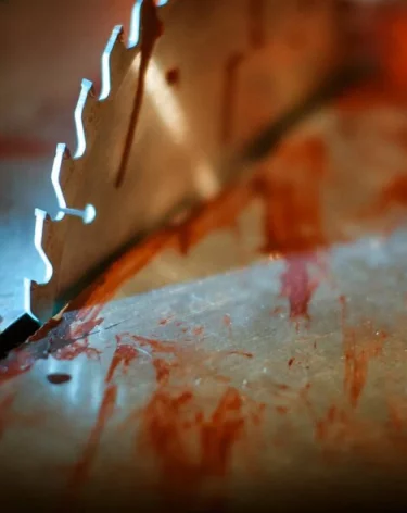 Расчленили и расфасовали по пакетам: стали известны подробности убийства криптотрейдера Новака и его жены