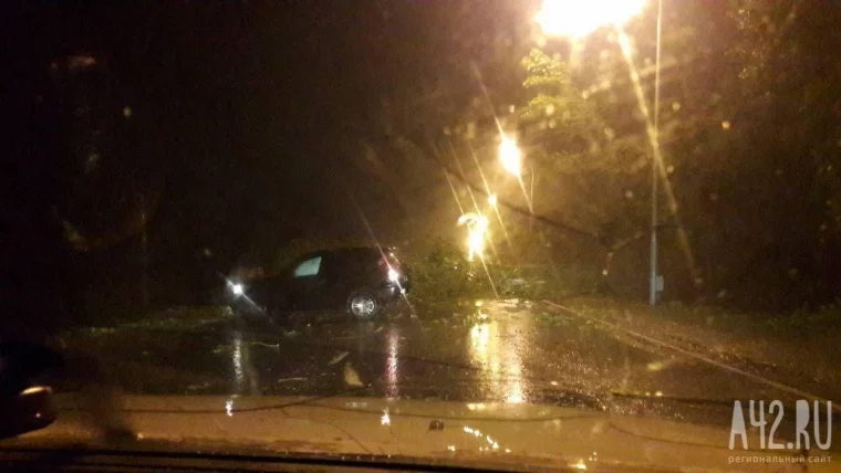 Фото: Кемеровчане делятся в соцсетях снимками последствий ночного урагана 12