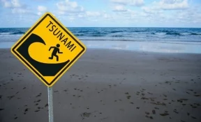 На Курилах после землетрясения объявлена угроза цунами