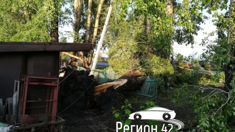 Фото: Кемеровчане делятся в соцсетях снимками последствий ночного урагана 13