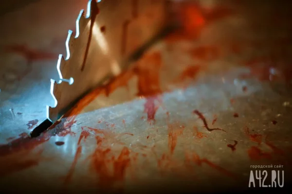 Расчленили и расфасовали по пакетам: стали известны подробности убийства криптотрейдера Новака и его жены