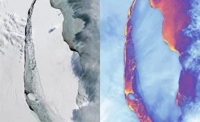 В NASA показали снимок гигантского айсберга, возникшего в результате раскола ледника Ларсена 