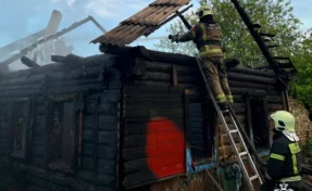 В Орловской области после гибели детей при пожаре начали проверку