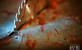 Расчленили и расфасовали по пакетам: стали известны подробности убийства криптотрейдера Новака и его жены