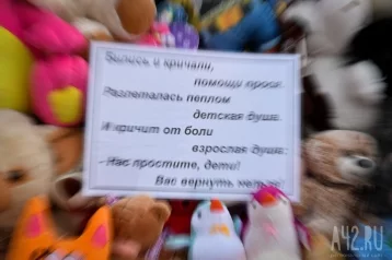 Фото: Глава МЧС потребовал проконтролировать выплаты семьям погибших и пострадавших в пожаре в Кемерове 1