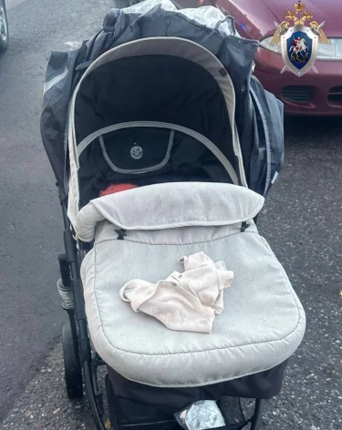 В Санкт-Петербурге рядом с мусоркой обнаружили брошенного младенца в коляске 