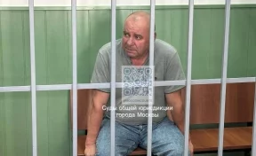 В Москве суд арестовал полковника МВД России в отставке Новгородова по делу об убийствах