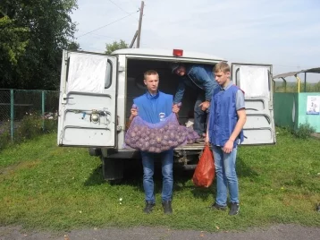Фото: В Кузбассе 5 500 человек получат бесплатные овощные наборы 1