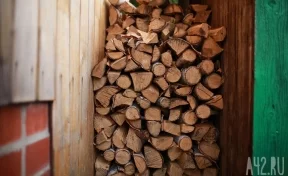 В Кузбассе экспорт древесины увеличился за год на 23% 