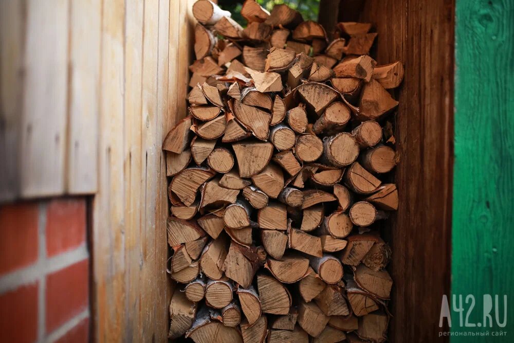 В Кузбассе экспорт древесины увеличился за последний год на 23% 