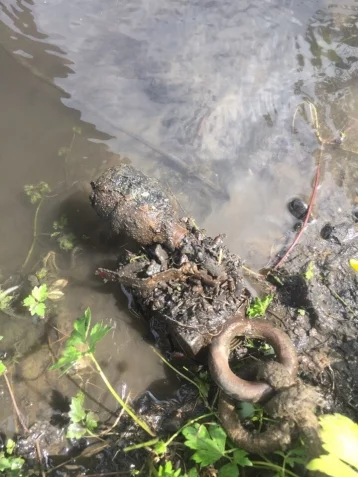 Фото: На дне кузбасской реки обнаружили боевую гранату 1