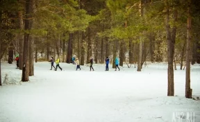 35 кузбасских чиновников сдали нормы ГТО по бегу на лыжах