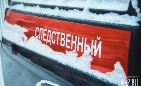 Двоих мёртвых детей нашли под снегом в Оренбургской области