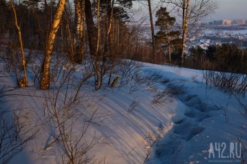 Фото: Кузбасские синоптики прогнозируют тёплую и снежную погоду 1