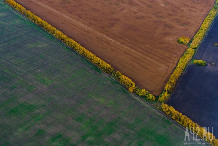 Фото: В небе над Кузбассом  13