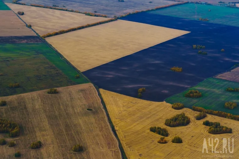 Фото: В небе над Кузбассом  14