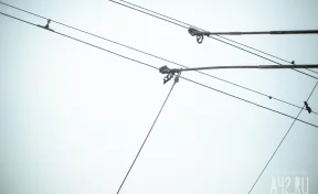В Петербурге умер буйный пассажир, которого пытался успокоить 72-летний кондуктор
