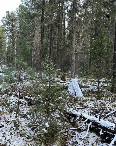В ХМАО сборщик шишек застрелил другого шишкаря, перепутав его в сумерках с медведем