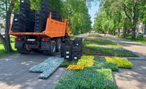 В Кемерове на клумбах высадили почти 270 тысяч цветов
