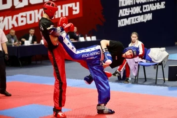 Фото: В Кемерове стартовал чемпионат России по кикбоксингу 3