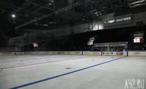 В Новосибирске 10-летний мальчик сломал позвоночник во время тренировки по хоккею