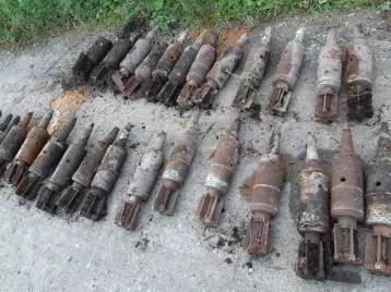 Фото: Грибник нашёл в лесу под Кемеровом десятки танковых снарядов 1