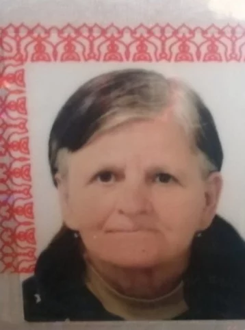 Фото: В Кузбассе пропавшую женщину с бордовыми волосами нашли живой 1