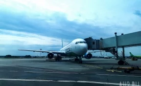Авиарейс из Кемерова в Москву задержали на 8 часов