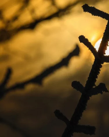 «Друзья» бросили жителя Владивостока замерзать в Кемерове