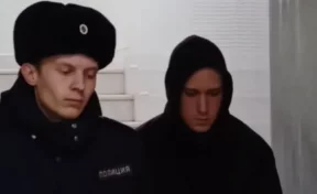 В Башкирии мужчина отрубил матери голову