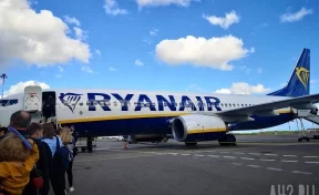 Захарова раскритиковала экстренную посадку самолёта Ryanair в Берлине из-за сообщения о бомбе