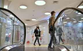 В Совфеде предложили ограничить возвращение брендов, осудивших СВО 