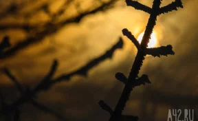 «Друзья» бросили жителя Владивостока замерзать в Кемерове