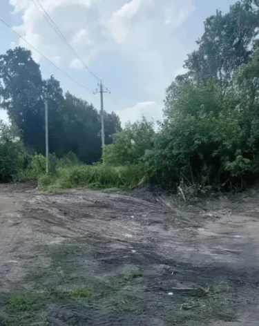 Фото: теруправление жилого района Кедровка