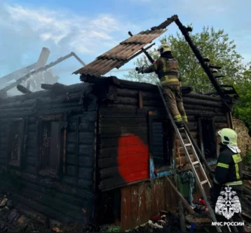 Фото: В Орловской области после гибели детей при пожаре начали проверку 1