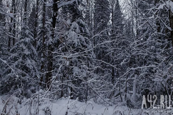 КП: Один из выживших в Пермском крае туристов умер после глотка тёплой воды