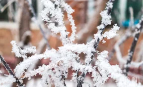 Синоптики рассказали о погоде в последний день зимы в Кузбассе