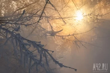 Фото: Синоптики: в Кузбассе в начале недели похолодает до -32 1
