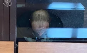 Рецидивиста, подозреваемого в убийстве девочки под Тверью, взяли под стражу