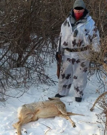 Фото: <a href=https://vk.com/dlkkuzbassa?w=wall-200752967_8827&z=photo-200752967_457244948%2F02f467f033828572c7>минлескомплекса и охотхозяйства Кузбасса</a> / «ВКонтакте»