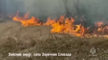 Фото: Режим ЧС введён из-за пожаров на территории муниципалитета в Амурской области 1