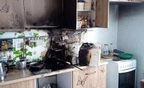 В Уфе голодные кошки устроили пожар в квартире 