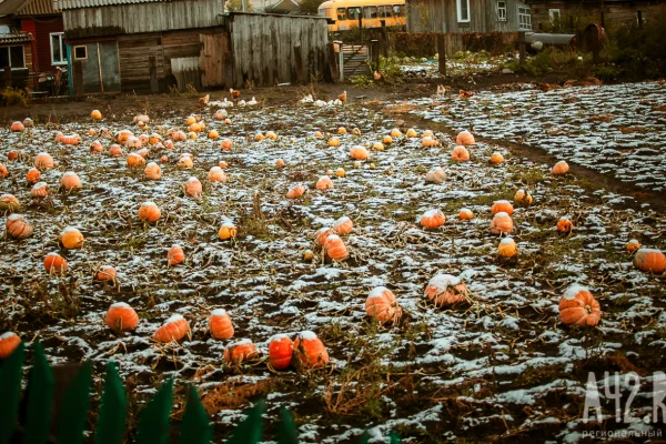Избегать вечеринок и испечь медовый пирог: народные приметы на 11 октября