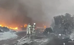В Ростовской области на складе макулатуры произошёл пожар площадью 2 500 «квадратов»