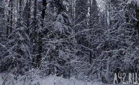 КП: Один из выживших в Пермском крае туристов умер после глотка тёплой воды