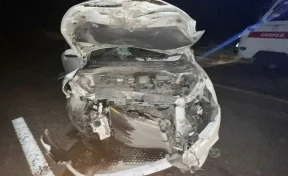 В Кузбассе водитель легкового автомобиля погиб в ДТП с лошадью