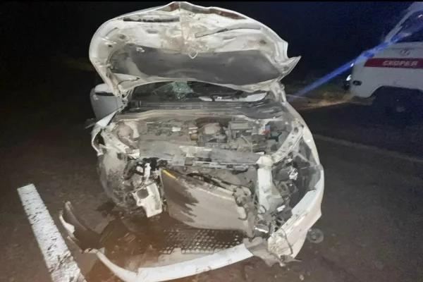 В Кузбассе водитель легкового автомобиля погиб в ДТП с лошадью
