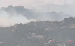 В Кузбассе компанию по утилизации отходов оштрафовали за горящий мусорный полигон