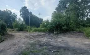 В Кемерове ликвидировали свалку мусора на Хорошеборской улице